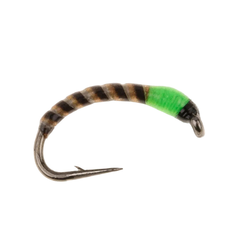 NEON QUILL BUZZER FLY GREEN