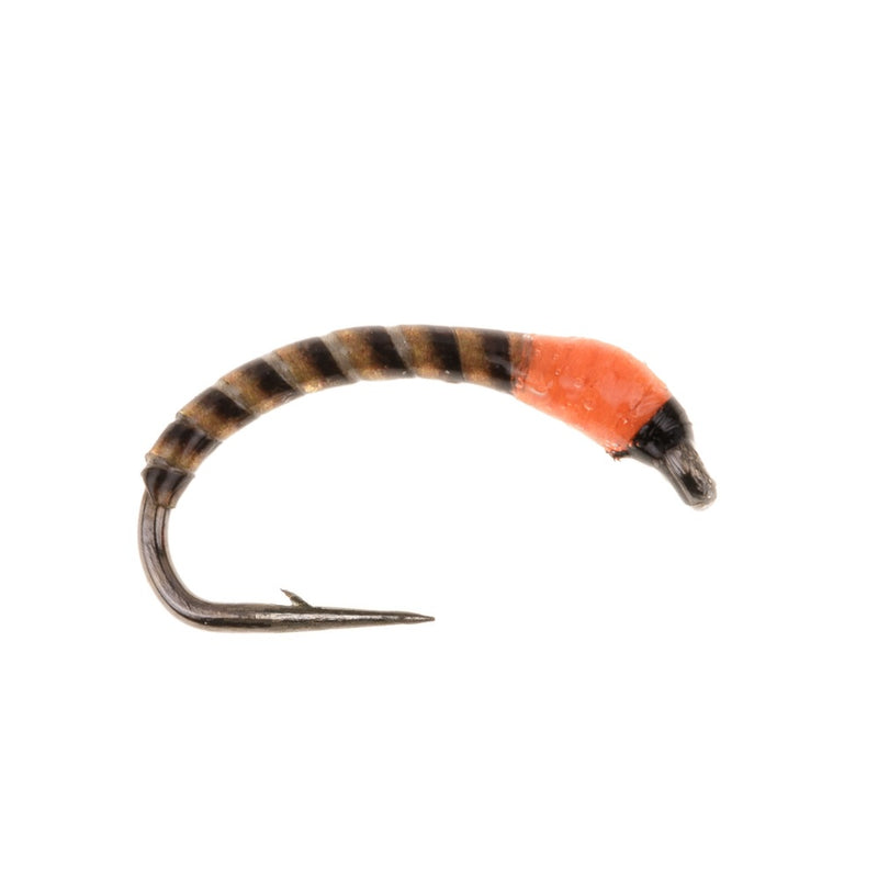 NEON QUILL BUZZER FLY ORANGE