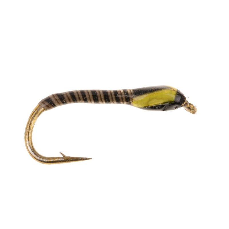 NEON QUILL BUZZER FLY SUNBURST
