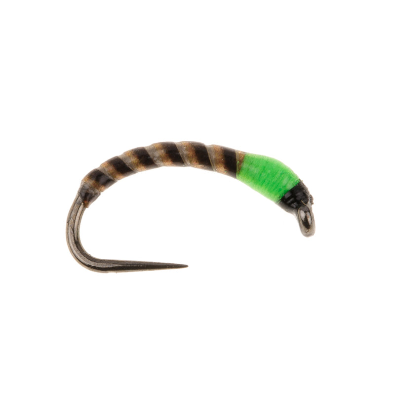 BUZZER BARBLESS FLY GREEN