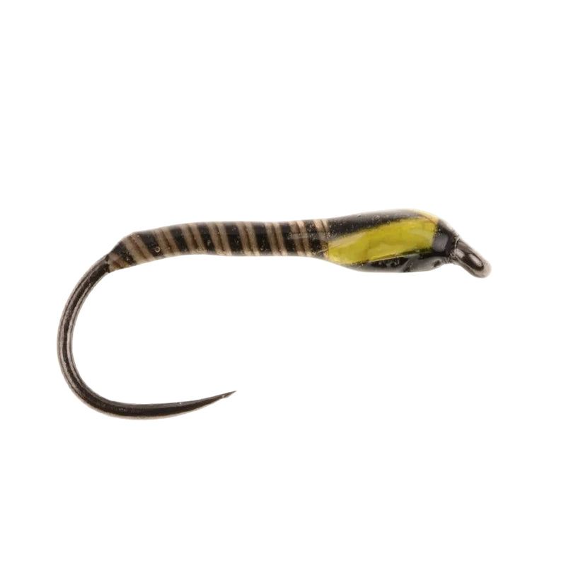 BUZZER BARBLESS FLY SUNBURST