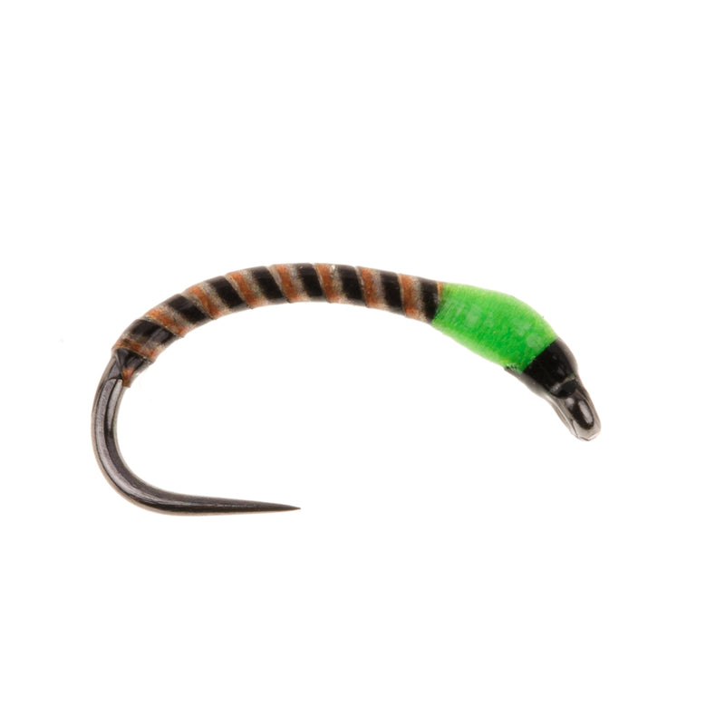 BUZZER BARBLESS FLY MAGGOT BUZZER FLU GREEN