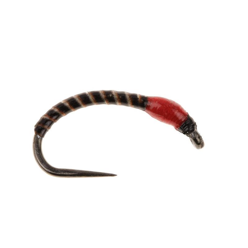 BUZZER BARBLESS FLY MAGGOT BUZZER FLU RED