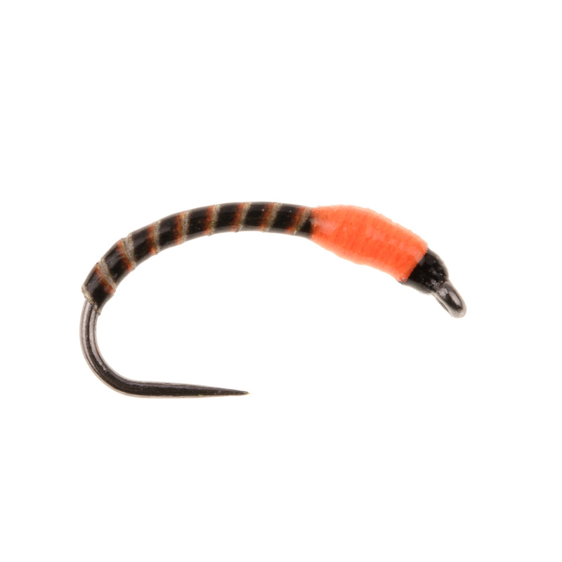 BUZZER BARBLESS FLY MAGGOT BUZZER FLU ORANGE
