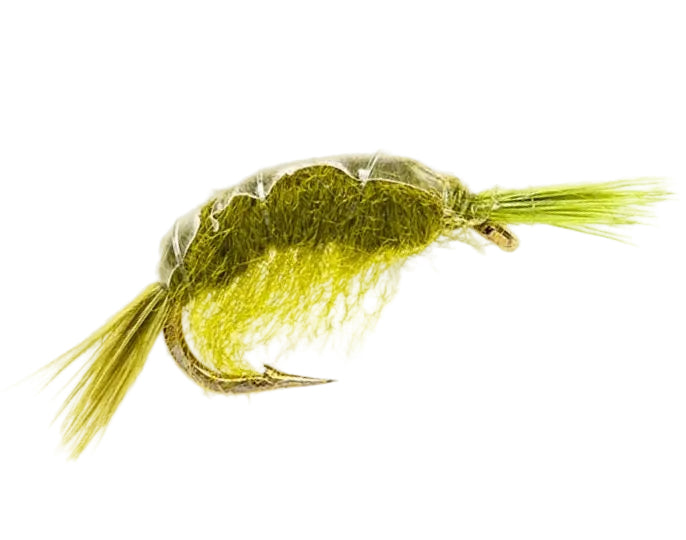 STANDARD NYMPH FLY SCUD OLIVE