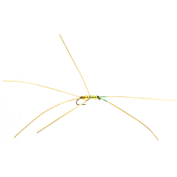STANDARD NYMPH FLY APPS BLOODWORM LIME ORANGE BUTT