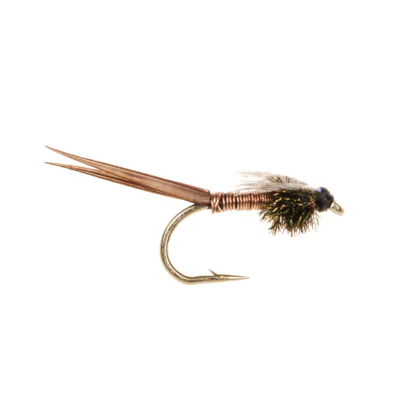 STANDARD NYMPH FLY COPPER JOHN