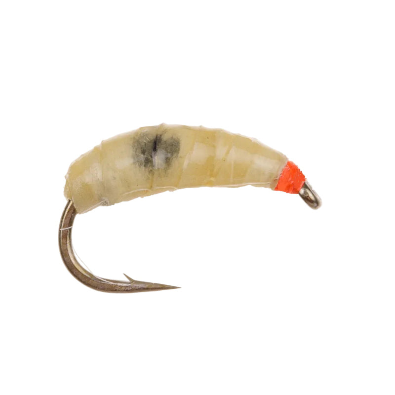STANDARD NYMPH FLY MAGGOT
