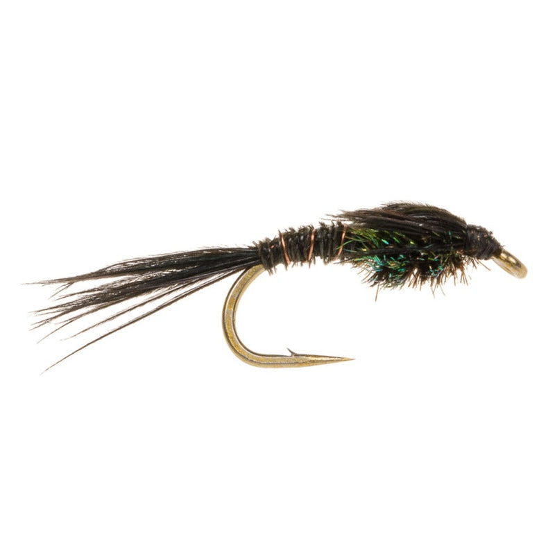 STANDARD NYMPH FLY PHEASANT TAIL BLACK