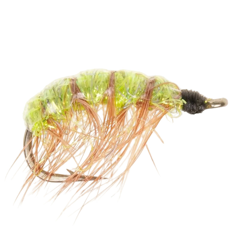 STANDARD NYMPH FLY SHRIMP-GREEN