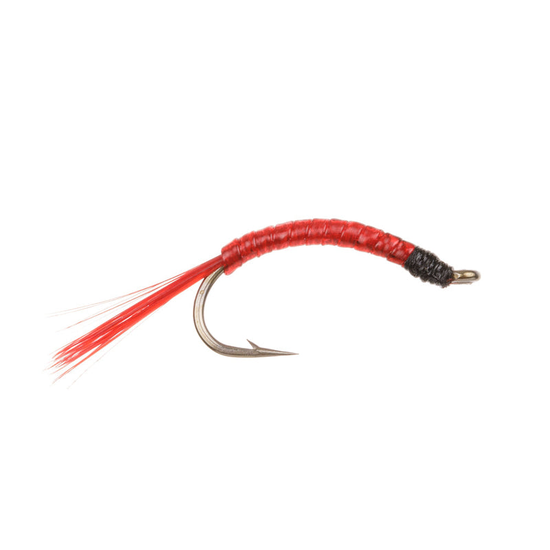 STANDARD NYMPH FLY BLOODWORM GLASS