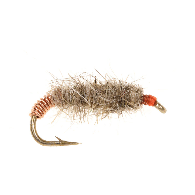 STANDARD NYMPH FLY KILLER BUG