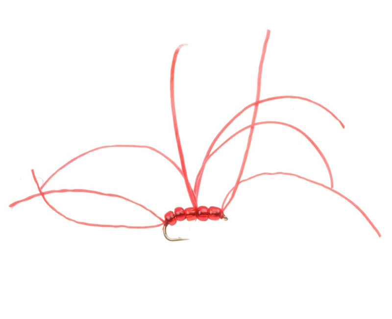 STANDARD NYMPH FLY BLOODWORM APPS