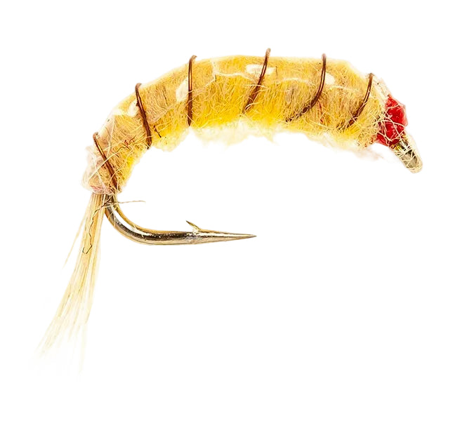 STANDARD NYMPH FLY SHRIMP LIGHT