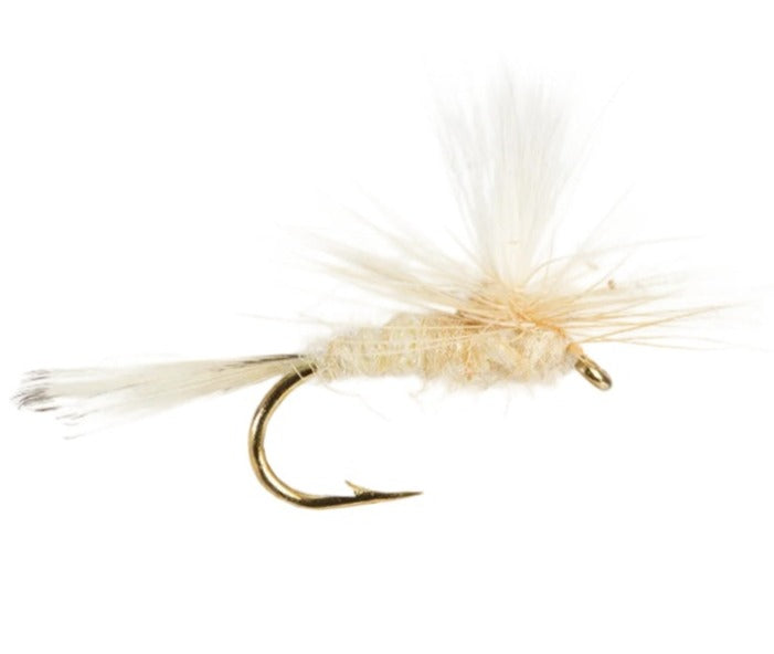 PARACHUTE FLY CAHILL LIGHT