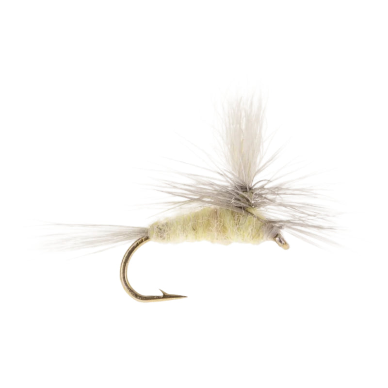 PARACHUTE FLY PALE MORNING DUN