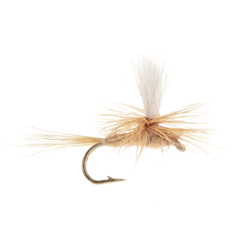 PARACHUTE FLY LIGHT CAHILL