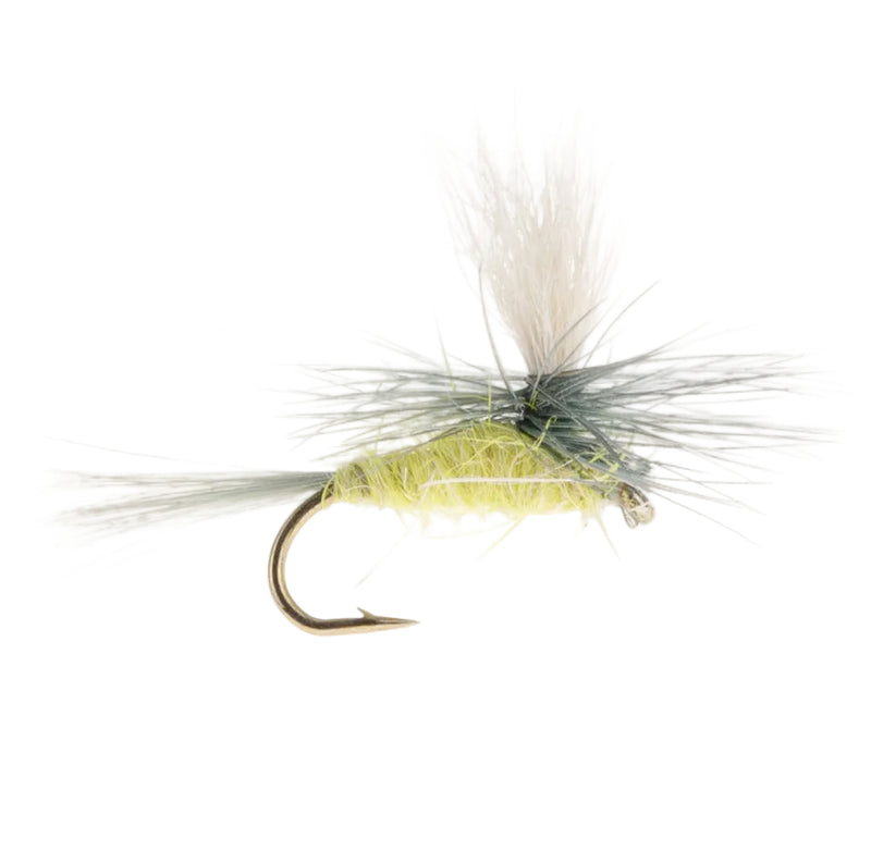 PARACHUTE FLY PALE EVENING DUN