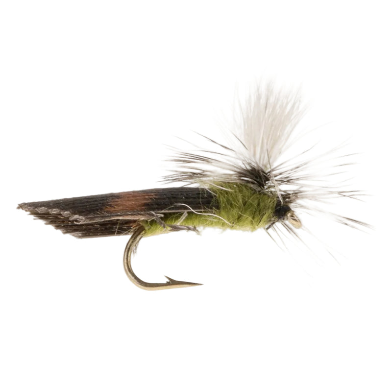 PARACHUTE FLY CADDIS OLIVE ROOFWING PARACHUTE