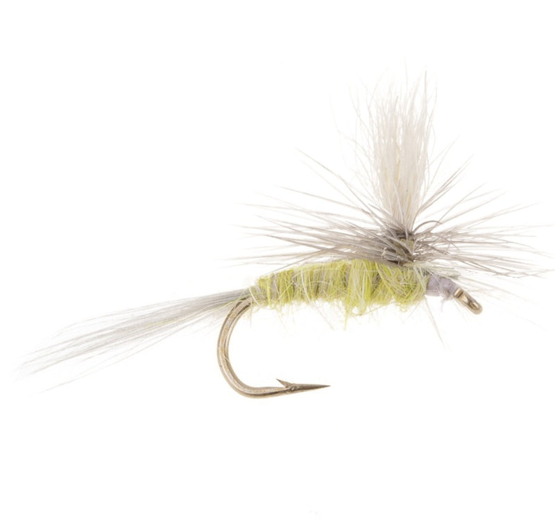 PARACHUTE FLY YELLOW SALLY