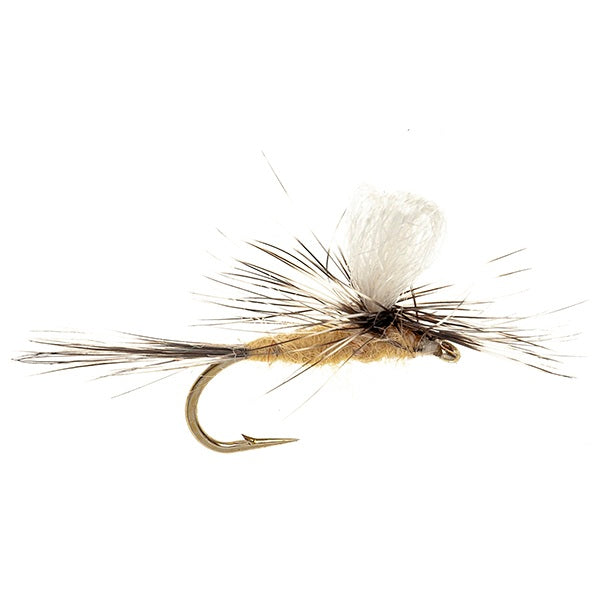 PARACHUTE FLY GULPER TAN PARACHUTE