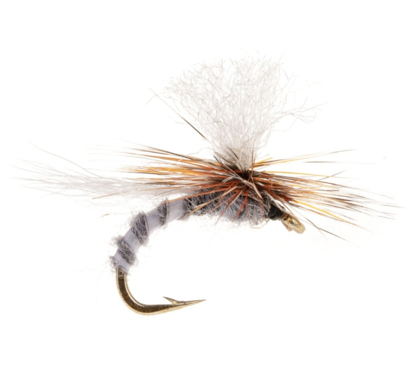 PARACHUTE FLY GT ADULT PARA ADAMS