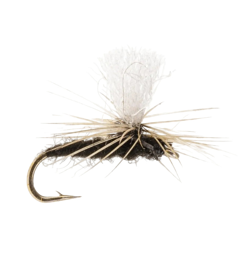 PARACHUTE FLY BLACK PARA MIDGE