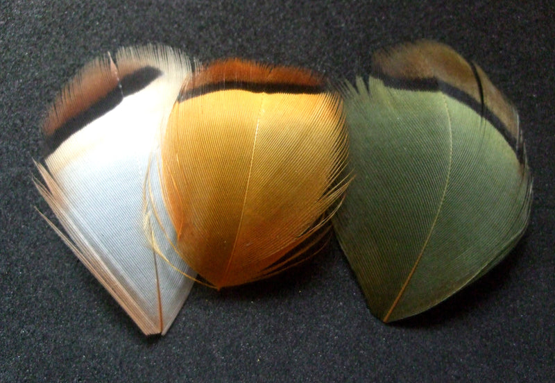 HACKLES PARTRIDGE MIXED FLY TYING FEATHERS