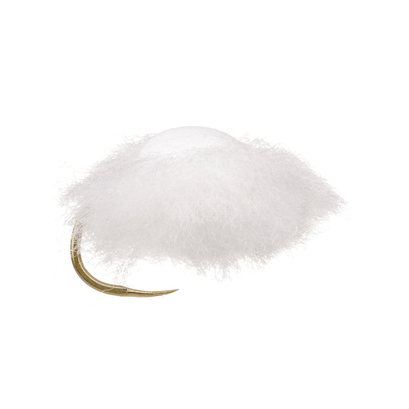 CARP FLY MONKS HEAD WHITE