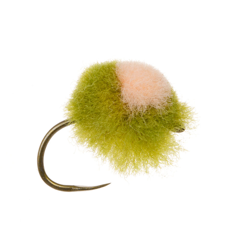 CARP FLY NINJA EGG OLIVE
