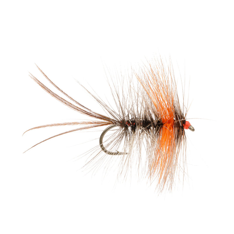 STALKING FLY STRUGGLING MAYFLY
