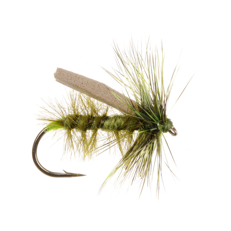 STALKING FLY OLIVE FOAM CADDIS