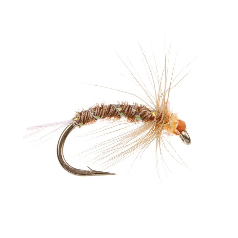 STALKING FLY BREEZY DAY BUZZER