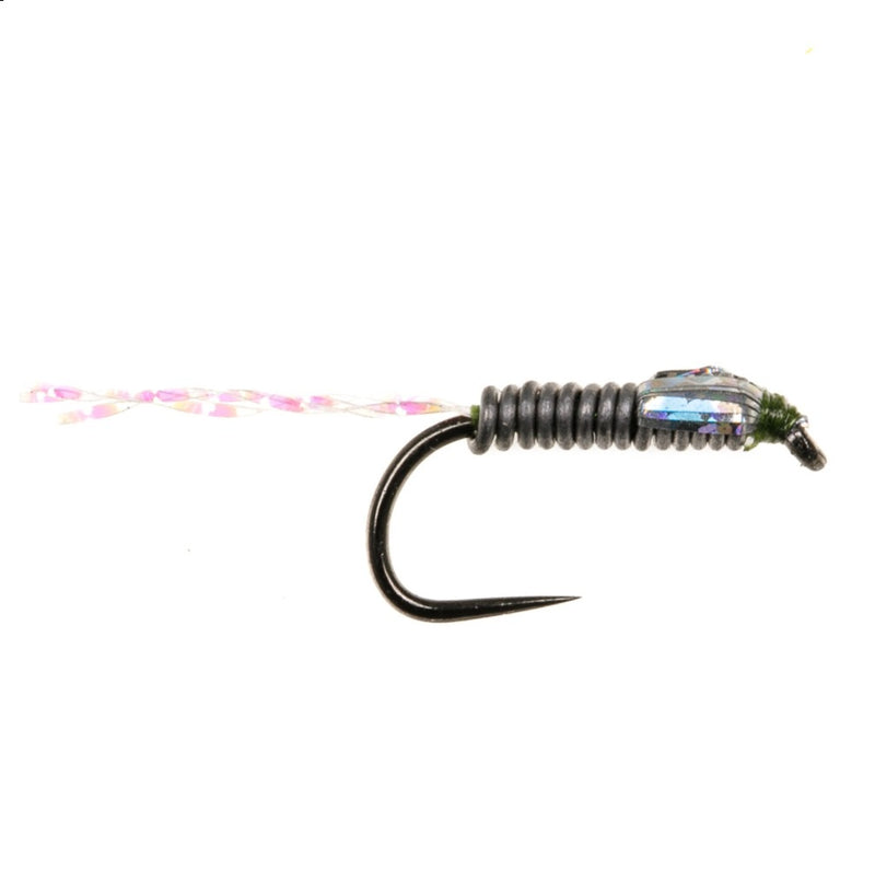 STALKING FLY FLASH STALKING BUG