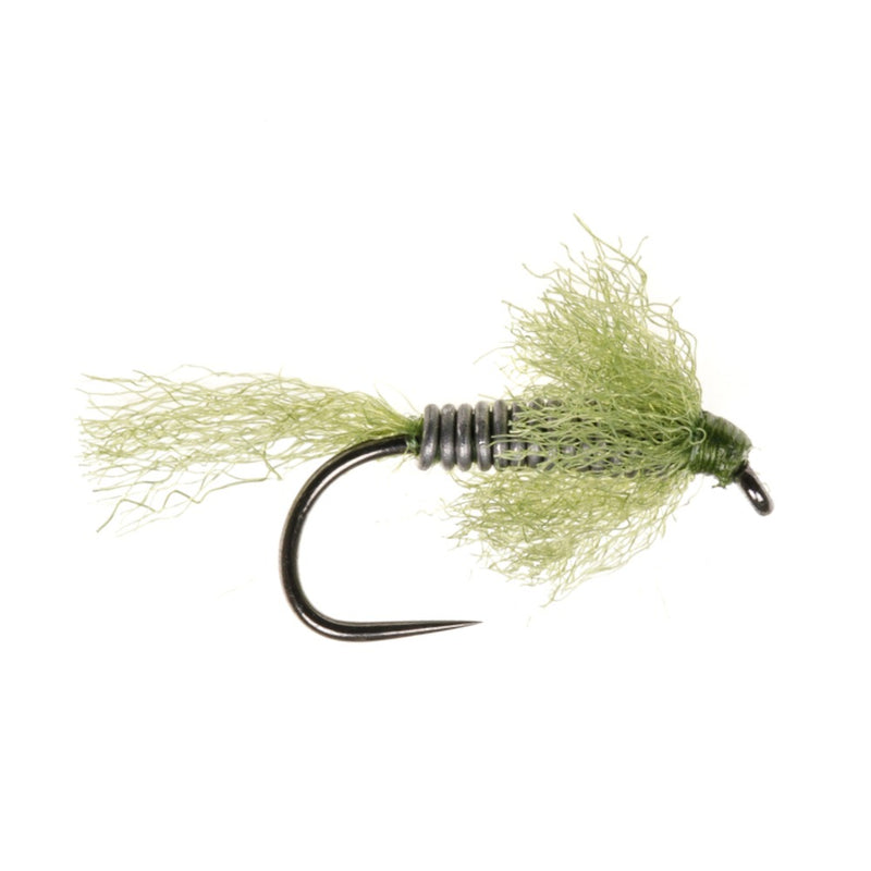 STALKING FLY ORIGINAL STALKING BUG