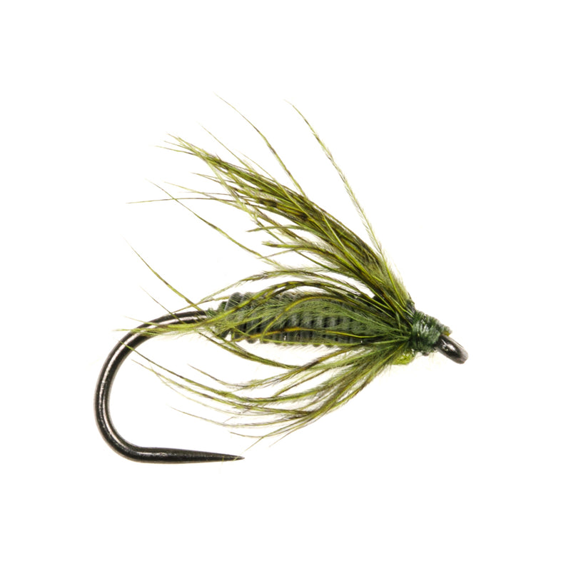 STALKING FLY PARTRIDGE STALKING BUG