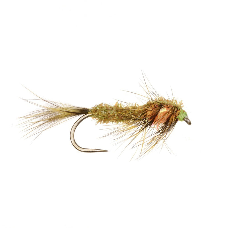 STALKING FLY CACTUS COOPERS DAMSEL - BARBLESS