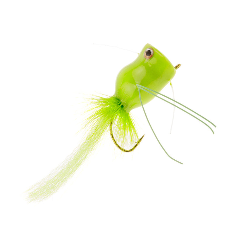 FOAM POPPER FLY POT BELLY FROG