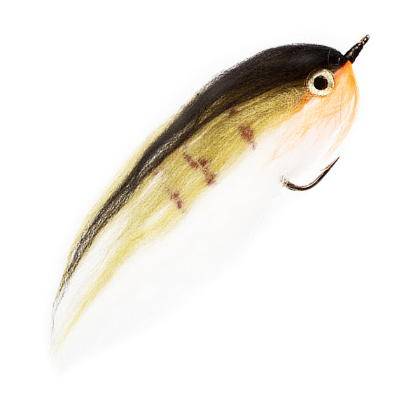 PREMIUM PIKE FLY STUPID BOY PERCH