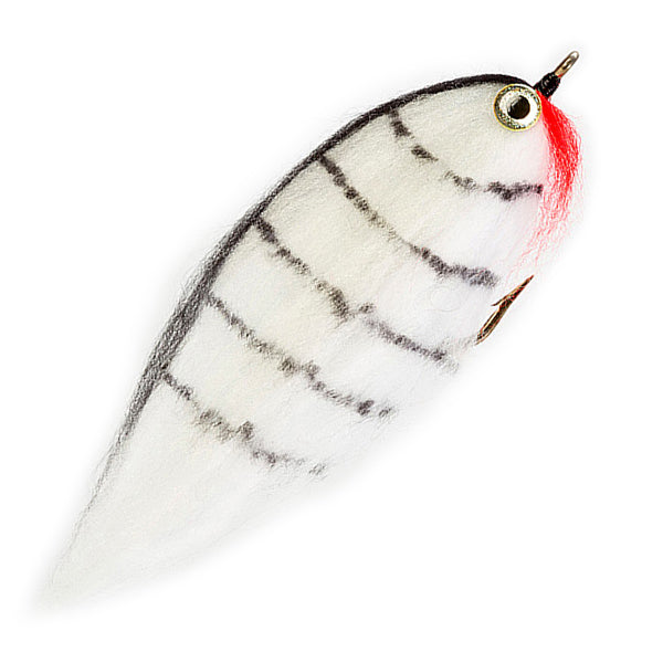 PREMIUM PIKE FLY STUPID BOY ROACH