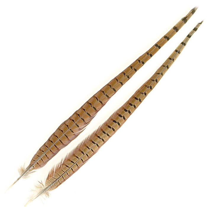 TAILS COCK PHEASANT FLY TYING FEATHER