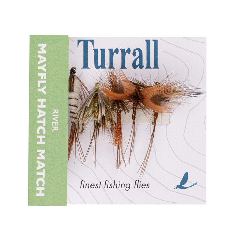 QUICK GRAB SELECTION RIVER MAYFLY HATCH MATCH 5 FLIES