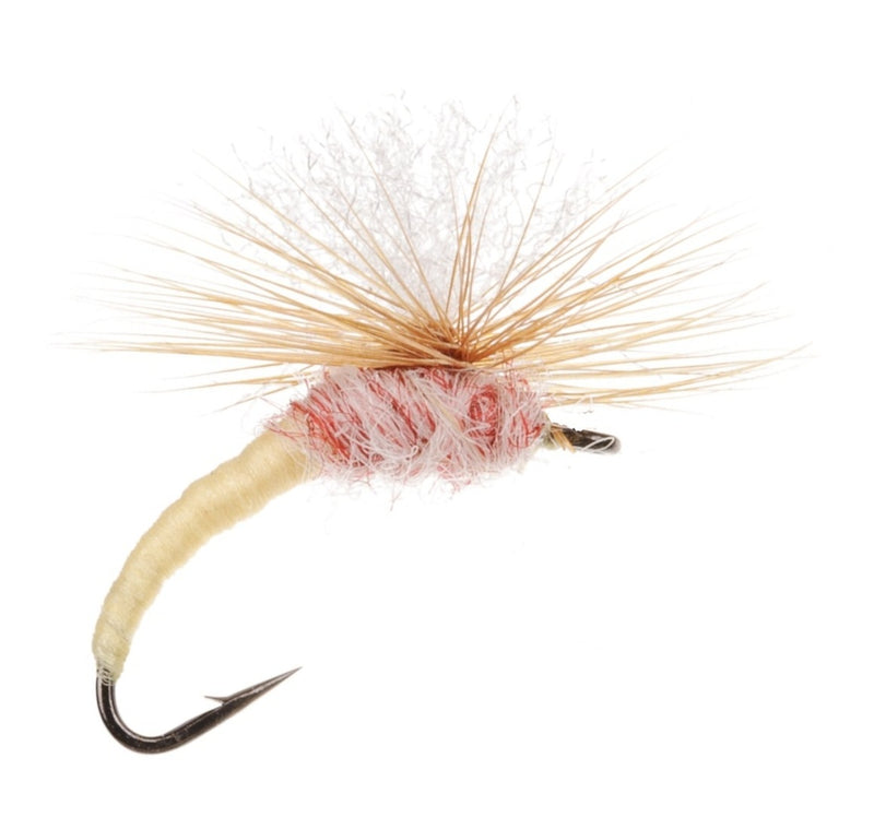 SPECIAL DRY FLY KLINKHAMMER TUP'S