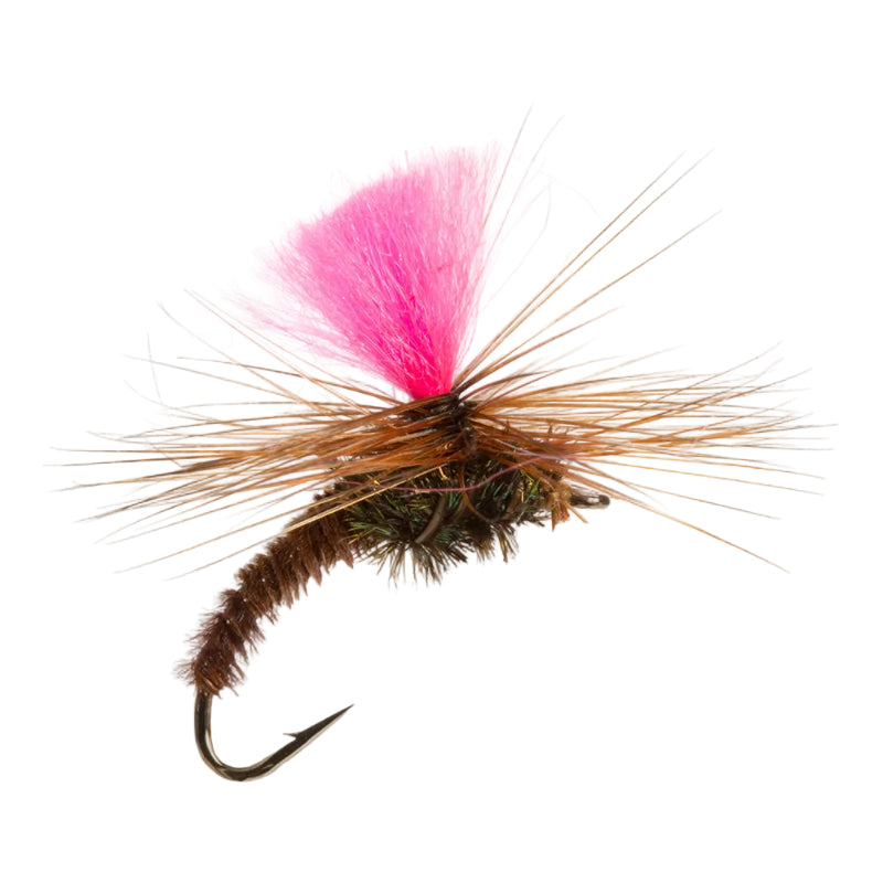 SPECIAL DRY FLY KLINKHAMMER TAN
