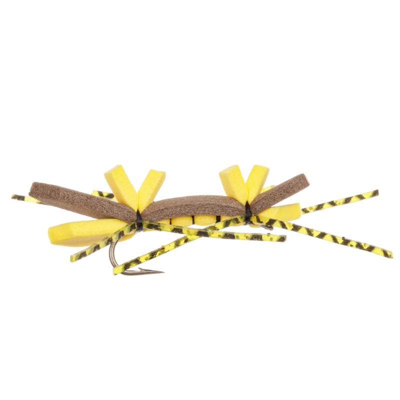 CHERNOBYL ANT BROWN TERRESTRIAL FLY