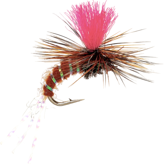 SPECIAL DRY FLY KLINKHAMMER HI-VIZ BROWN FLASH TAIL