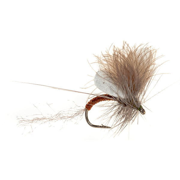 MAYFLY ETHAFOAM WING BLUE WINGED OLIVE