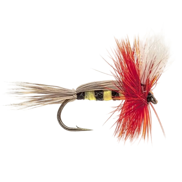 SPECIAL DRY FLY SCARLETT HUMPBEE