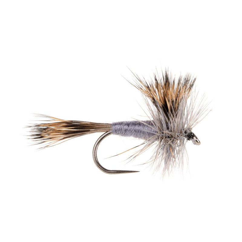 WULFF BARBLESS DRY FLY GREY WULFF