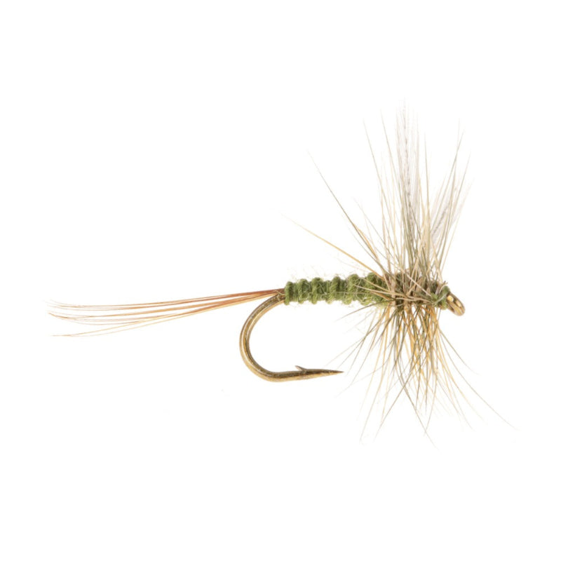 MAYFLY EUROPEAN MEDIUM OLIVE DUN